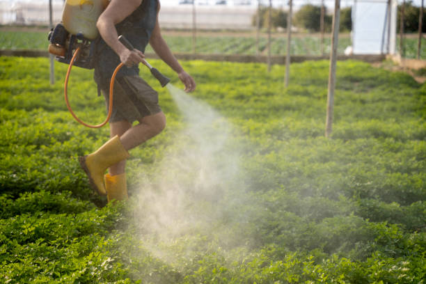 Reliable Oak Park, IL Pest Control Solutions