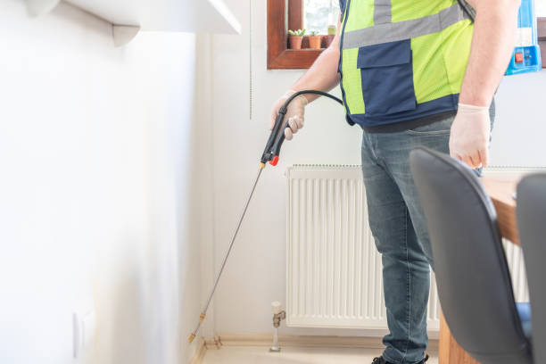 Best Flea Control Services  in Oak Park, IL