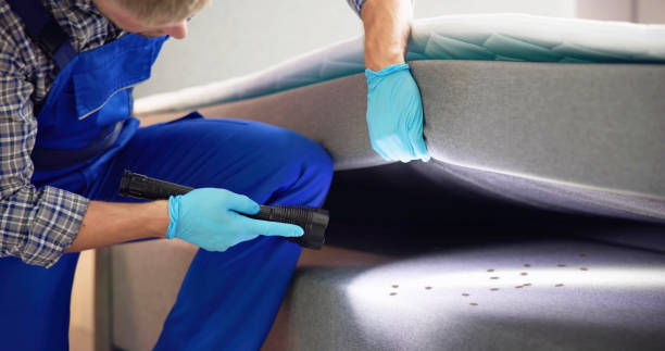 Best Pest Inspection Near Me  in Oak Park, IL