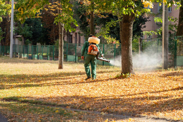 Best Termite Control Services  in Oak Park, IL