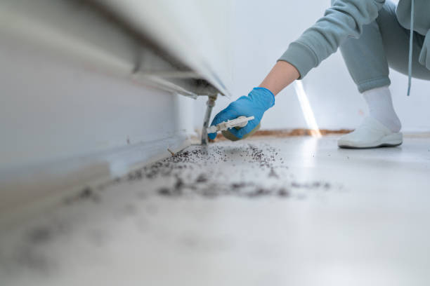 Best Commercial Pest Control Services  in Oak Park, IL
